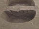 FileNo.087-054.jpg