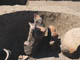 FileNo.087-056.jpg