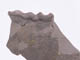 FileNo.087-085.jpg