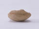 FileNo.087-128.jpg