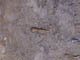 FileNo.088-013.jpg