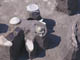 FileNo.088-019.jpg