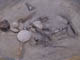 FileNo.088-022.jpg