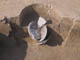 FileNo.088-024.jpg
