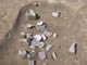FileNo.088-025.jpg