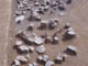FileNo.088-026.jpg