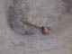 FileNo.088-031.jpg