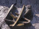 FileNo.088-039.jpg