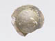 FileNo.088-041.jpg