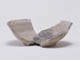 FileNo.088-104.jpg
