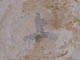 FileNo.088-117.jpg