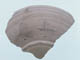 FileNo.088-120.jpg