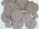 FileNo.088-125.jpg