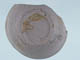 FileNo.088-141.jpg