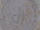 FileNo.088-144.jpg
