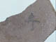 FileNo.088-145.jpg