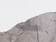 FileNo.088-146.jpg
