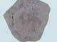 FileNo.088-147.jpg