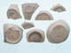 FileNo.088-158.jpg