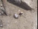 FileNo.088-181.jpg
