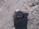 FileNo.088-183.jpg