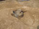 FileNo.089a-016.jpg