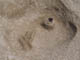 FileNo.089b-014.jpg