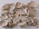 FileNo.089b-023.jpg