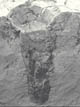 FileNo.090-003.jpg