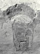 FileNo.090-004.jpg