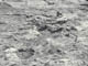 FileNo.090-006.jpg