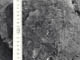 FileNo.090-007.jpg