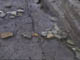 FileNo.090-024.jpg