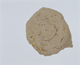 FileNo.090-203.jpg