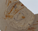 FileNo.090-205.jpg