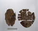 FileNo.090-222.jpg