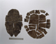 FileNo.090-224.jpg