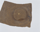 FileNo.090-228.jpg