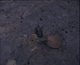 FileNo.090139.jpg