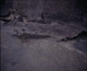 FileNo.090159.jpg