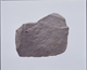 FileNo.090220.jpg