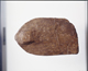 FileNo.090312.jpg