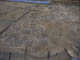 FileNo.091-014.jpg