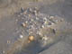 FileNo.091-024.jpg