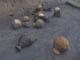 FileNo.091-026.jpg