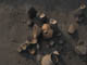 FileNo.091-040.jpg