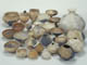 FileNo.091-044.jpg