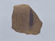 FileNo.091-147.jpg