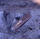 FileNo.091SC001.jpg