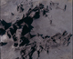 FileNo.090368.jpg